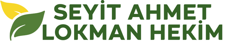 SEYİT AHMET LOKMAN HEKİM (800 x 150 piksel) (800 x 145 piksel) (2)